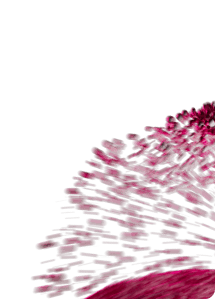 desd